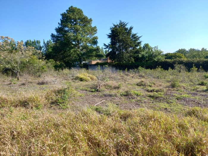 Terreno en Venta en San Jorge Muxbal - foto 3