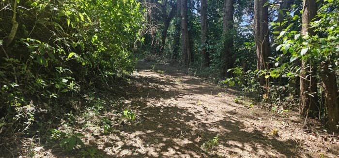 Terreno en Venta en Carretera a El Salvador, Guatemala - foto 3