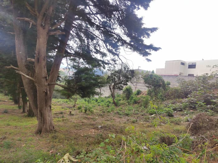 En Venta Terreno  para desarrollo entrada a Fraijanes - foto 2