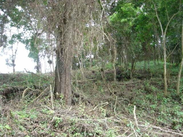 Terreno en venta en Las Cumbres zona 16 Guatemala - foto 4