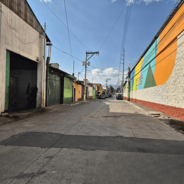 Propiedad comercial para desarrollo San Miguel Petapa - foto 4