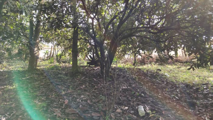 Venta Terreno San Cristobal El Alto Antigua Guatemala - foto 4
