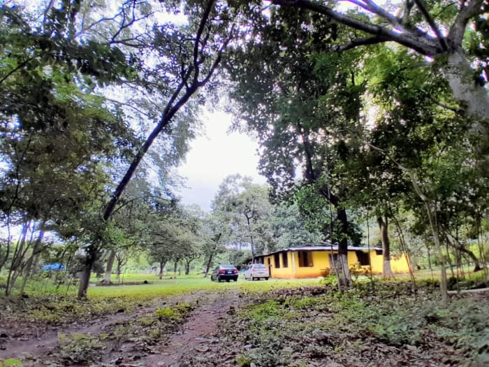 Terreno en renta en Masagua Escuintla - foto 2