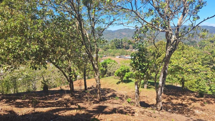 Terreno en Venta Santa Rosa de Lima - foto 3