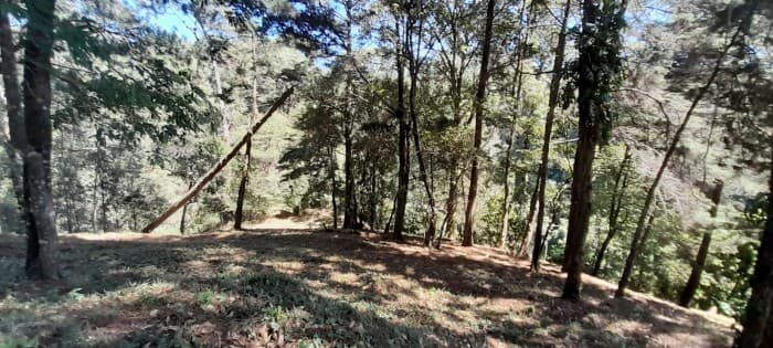 Terreno en venta en Casa y Campo  Fraijanes Guatemala - foto 4