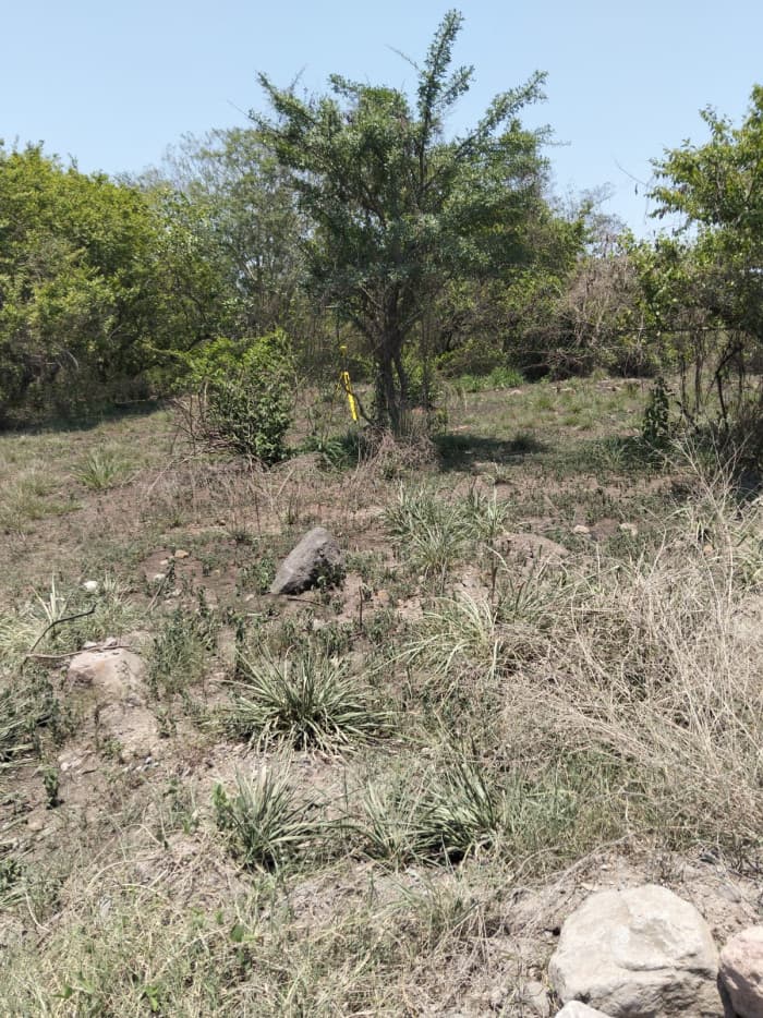 Terreno Comercial en Venta en km 84 a Puerto Quetzal - foto 3