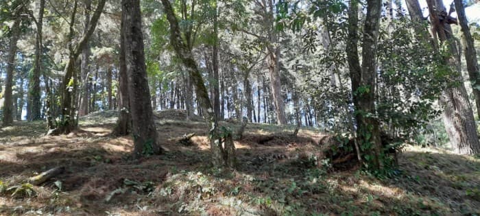 Terreno en venta en Casa y Campo  Fraijanes Guatemala - foto 3