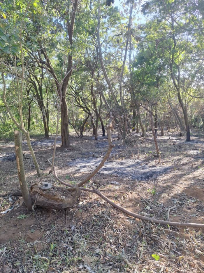 Terreno Residencial en Condominio de Palin Escuintla - foto 3