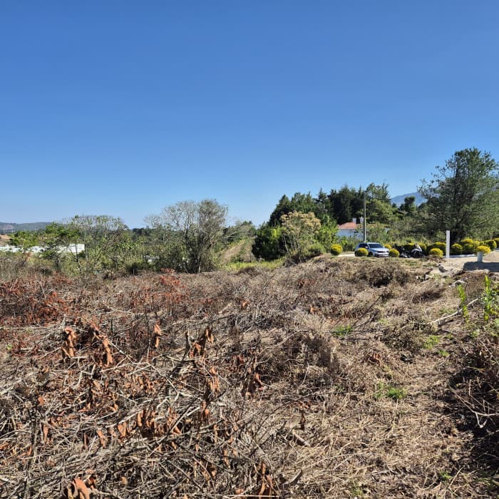 Terreno en Venta en Club de Golf Altavista - foto 4