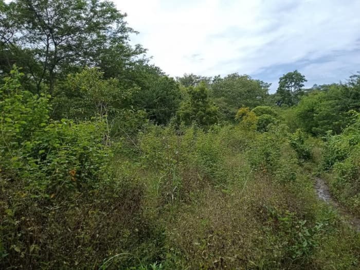 Venta de Terreno en Oratorio Santa Rosa - foto 2