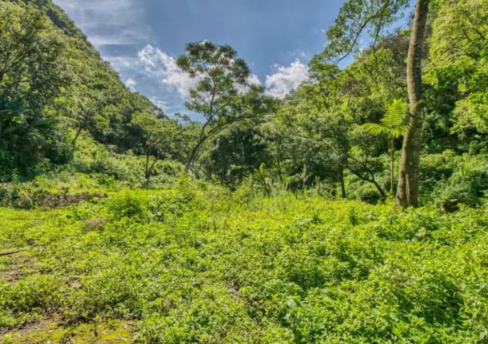 Finca en Venta en Aldea Santa Ana, La Antigua Guatemala - foto 8