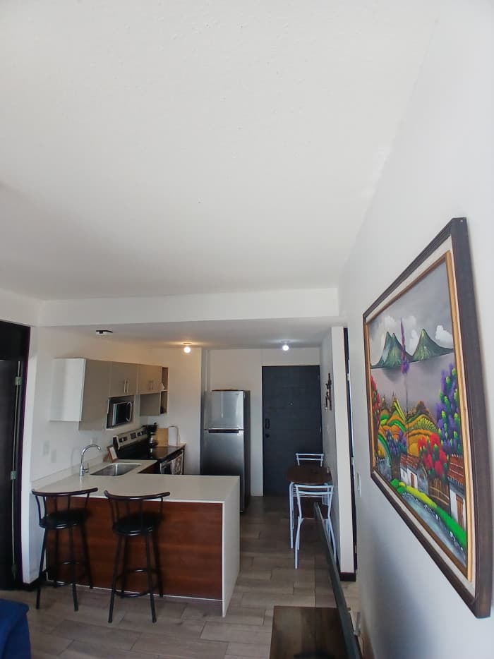 Apartamento amueblado  en venta en zona 12 - foto 3