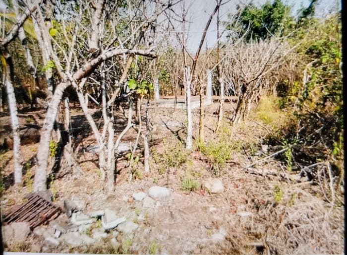 Terreno en Venta en Colinas de Torremolinos Escuintla - foto 3