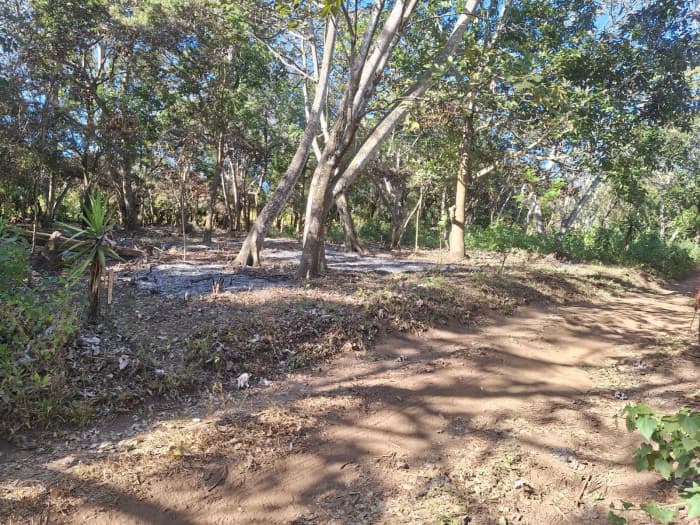 Terreno Residencial en Venta en Condominio de Palín  - foto 3