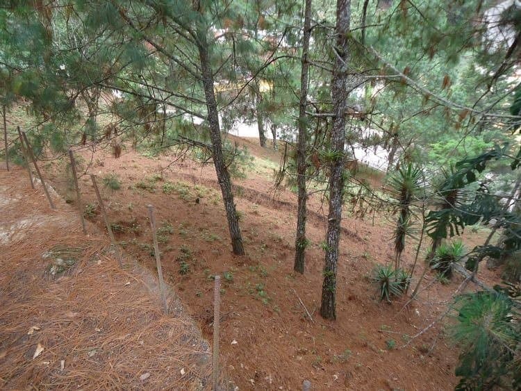 Terreno en venta en Las Cumbres zona 16 Guatemala - foto 3