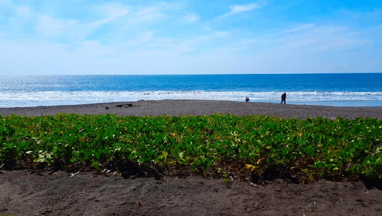 Terreno en venta en Monterrico, Santa Rosa Guatemala - foto 4
