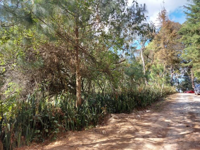 Terreno en Pre-Venta en Santa Rosalía  Guatemala - foto 2
