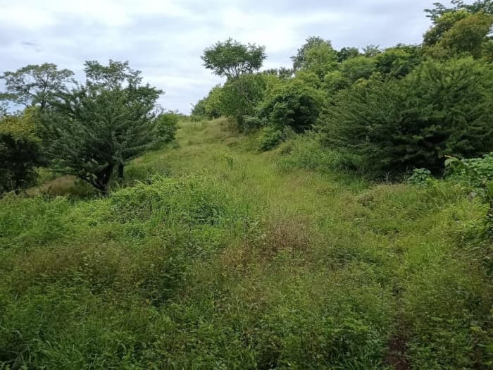 Venta de Terreno en Oratorio Santa Rosa - foto 3