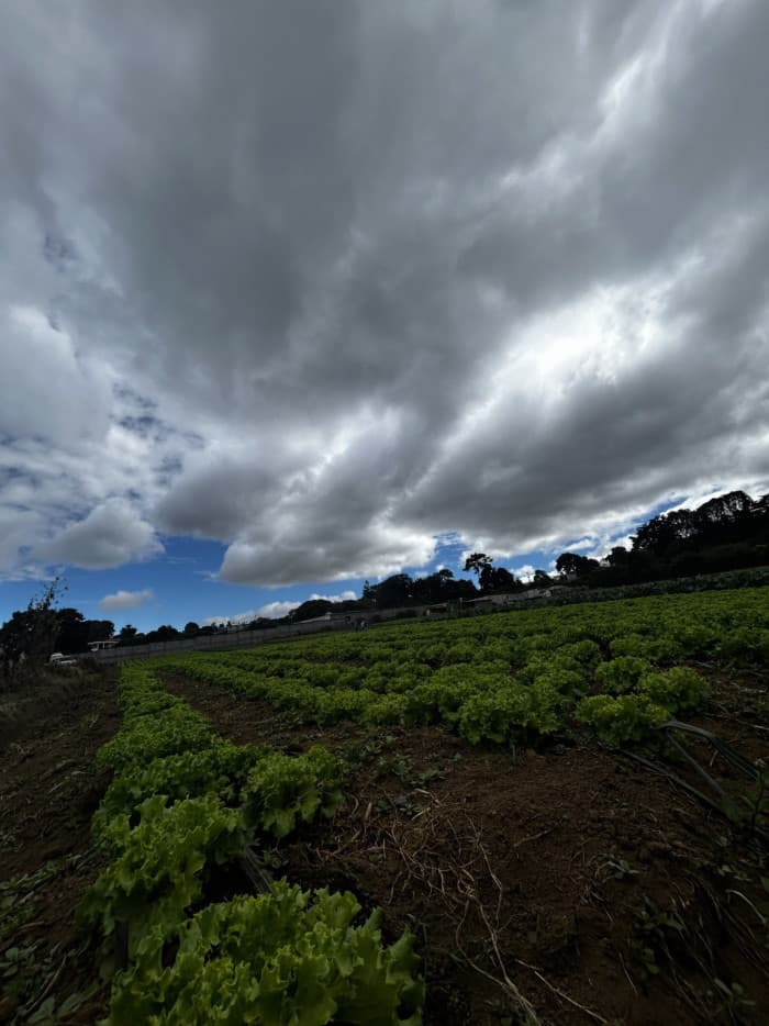 Terreno en Venta en Santo Tomas Milpas Altas - foto 4