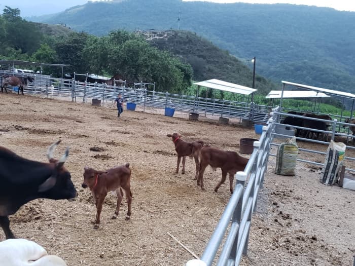 Finca en venta en Sanarate, El Progreso - foto 4