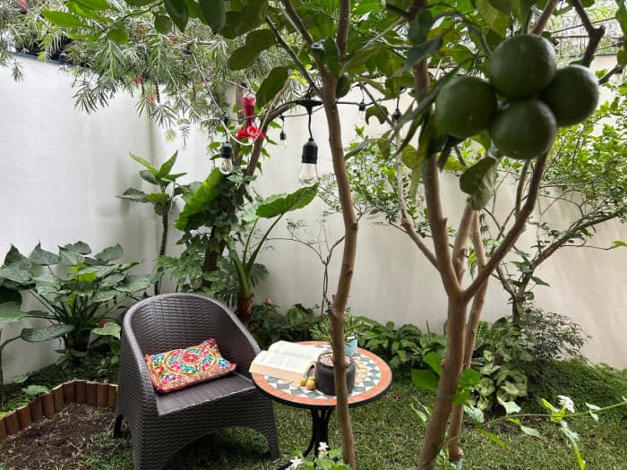 Apartamento en renta con pérgola y jardín en zona 14 - foto 18