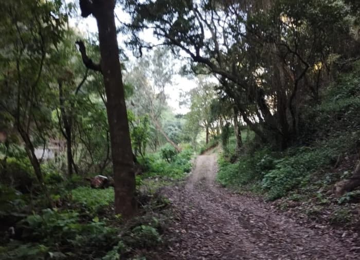 Finca en Venta en Aldea Santa Ana, La Antigua Guatemala - foto 3