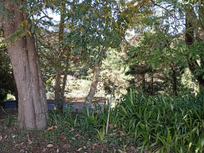 Terreno Residencial en Venta en Santa Catarina Pinula - foto 3