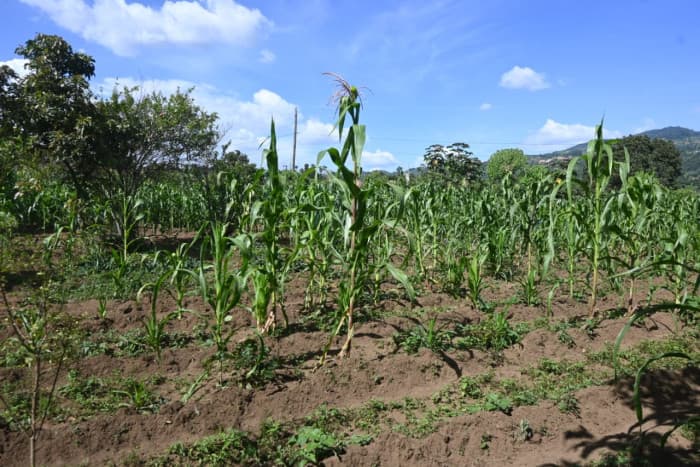 Terreno en venta en Pastores, Sacatepéquez - foto 3