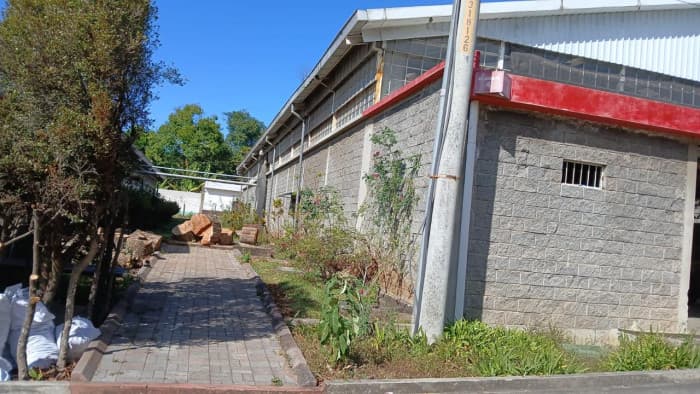 Ofibodega en Alquiler en Condominio de Villa Canales - foto 2
