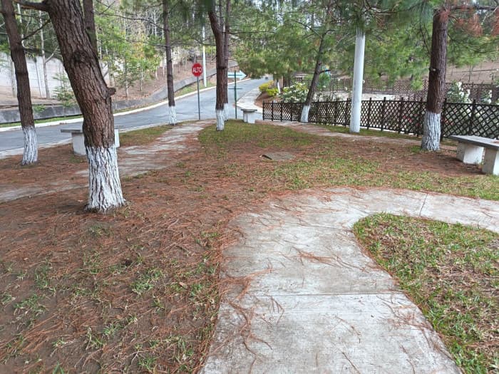 Apartamento en nivel alto en renta en zona 11 de Mixco - foto 2