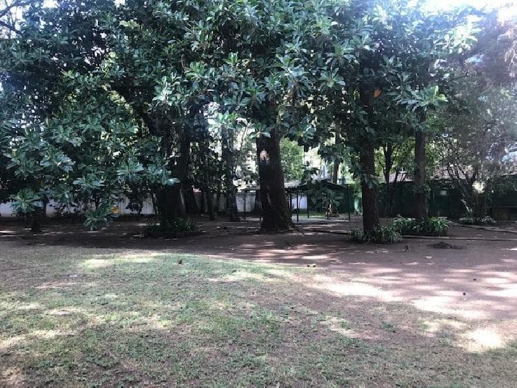 Terreno comercial en renta en zona 10 Guatemala - foto 4