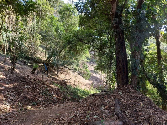 Terreno en Pre-Venta en Santa Rosalía  Guatemala - foto 4