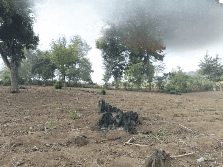 Terreno en venta en Aldea Hierba Buena,  Chimaltenango - foto 2