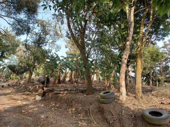 Terreno en Venta Carretera a Colmenas Guatemala - foto 3