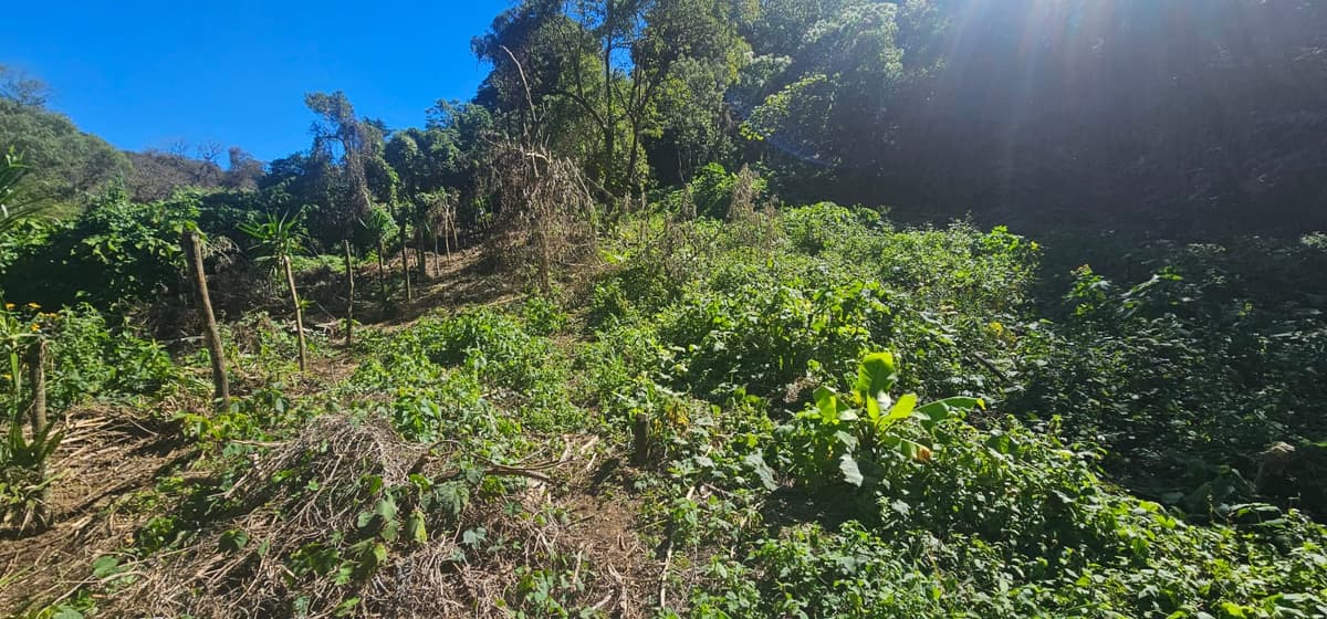 Terreno en Venta en Carretera a El Salvador, Guatemala - foto 4