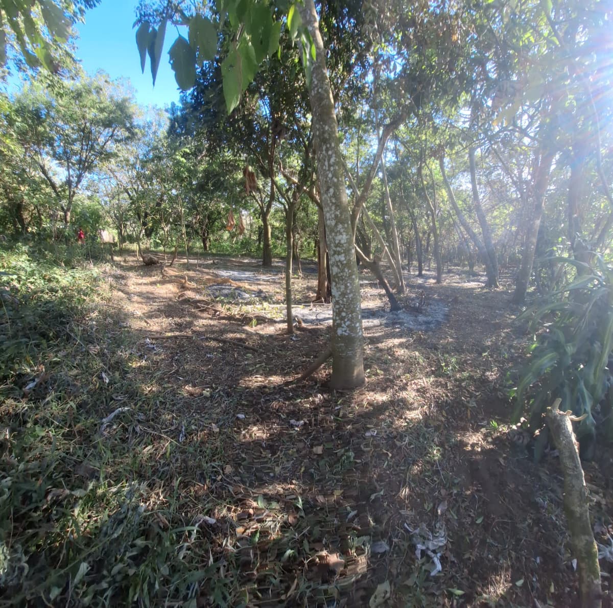 Terreno Residencial en Condominio de Palin Escuintla - foto 2