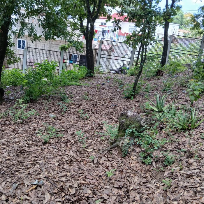 Terreno en venta en Ciudad San Cristobal - foto 4