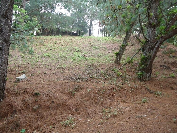Terreno en venta en Las Cumbres zona 16 Guatemala - foto 4