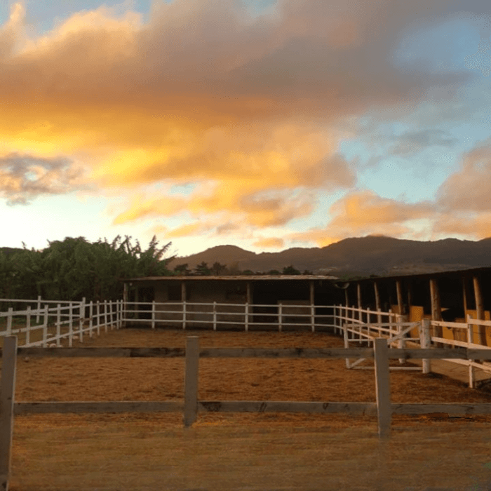 Finca en Renta en Santa Lucía Milpas Altas, Sacatepéquez - foto 4