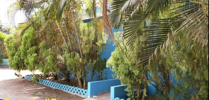 Terrenos en venta a 8 Km de Puerto San José, Escuintla - foto 2
