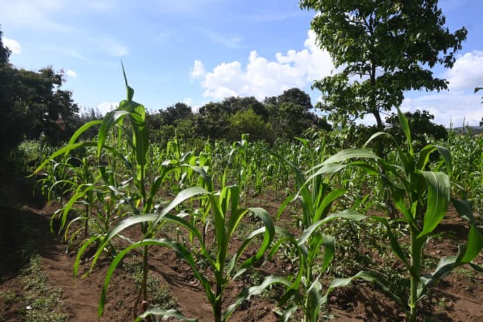Terreno en venta en Pastores, Sacatepéquez - foto 2