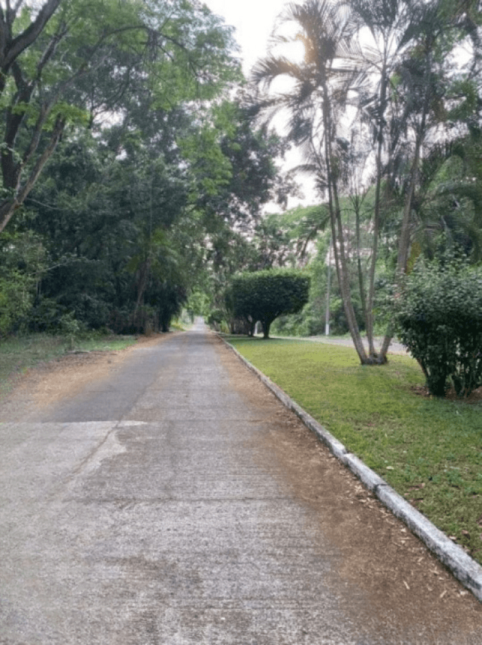 Venta de Terreno en Villas Club Riosul, Escuintla - foto 3