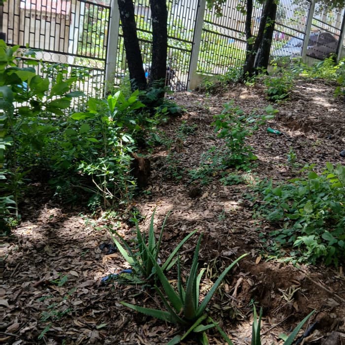 Terreno en venta en Ciudad San Cristobal - foto 2