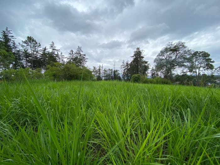 Terreno Comercial en renta en km 57, Chimaltenango - foto 4