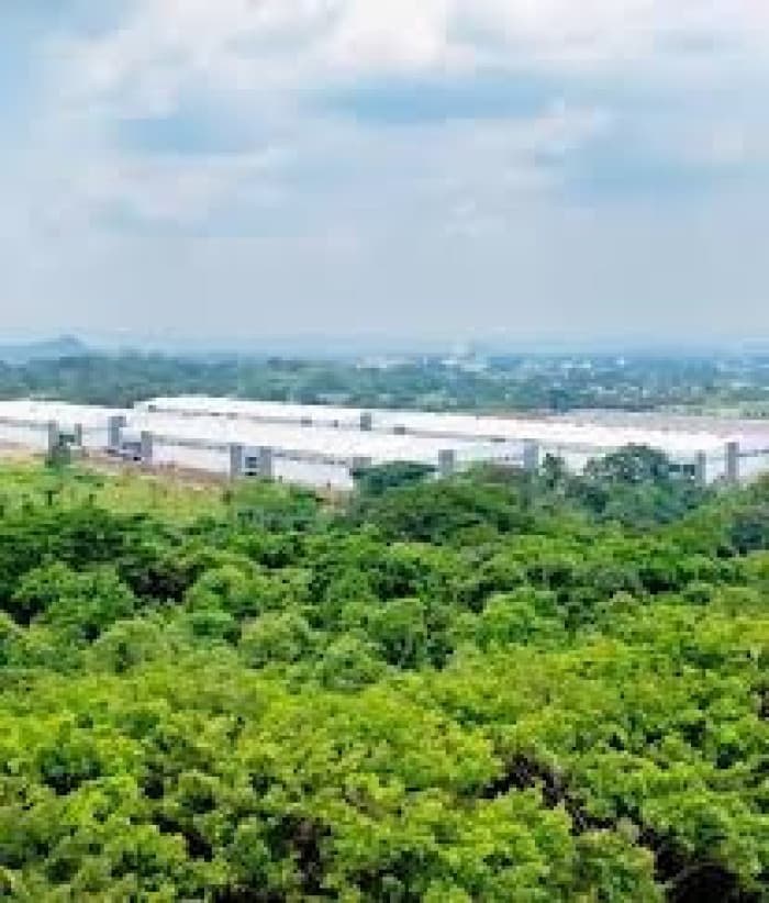 Nave Industrial en Renta en Escuintla KM 53 - foto 7