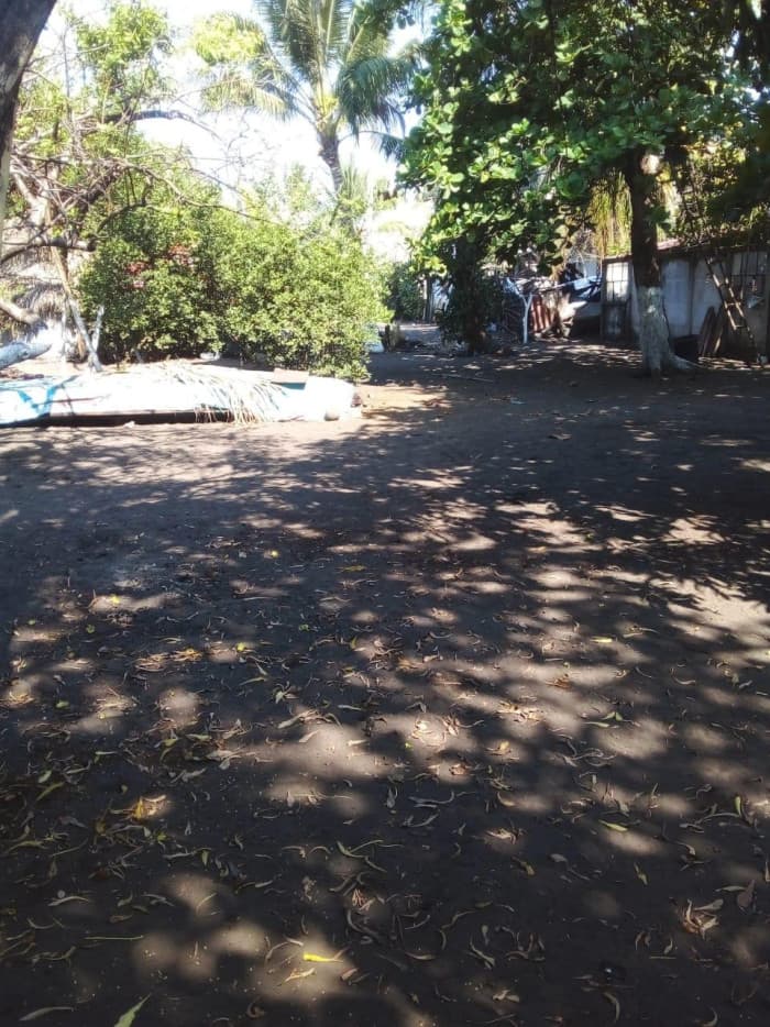 Terreno en renta en Monterrico con acceso a la playa. - foto 4