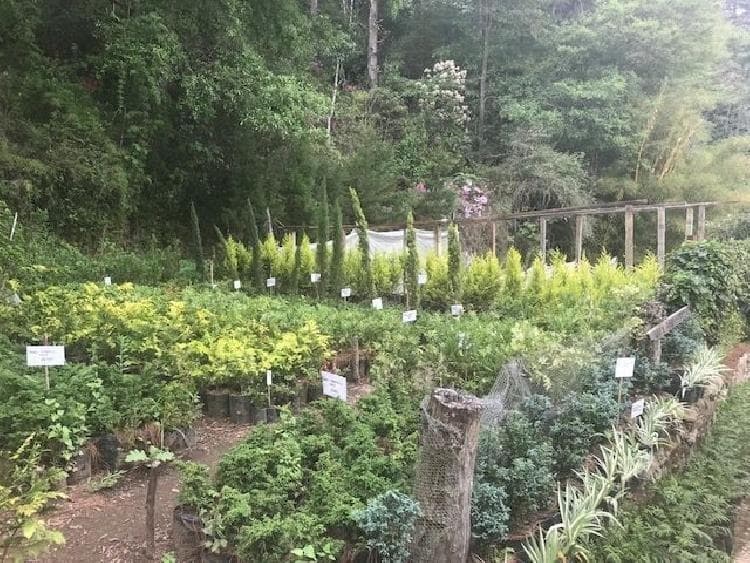 Terreno en venta para desarrollo en San José Pinula  - foto 2