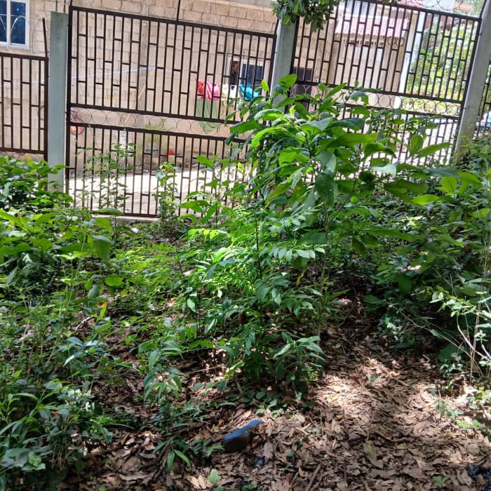 Terreno en venta en Ciudad San Cristobal - foto 3