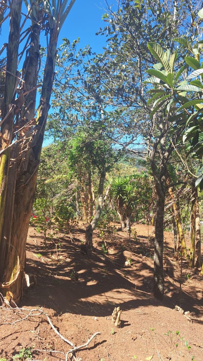 Terreno en Venta Santa Rosa de Lima - foto 2