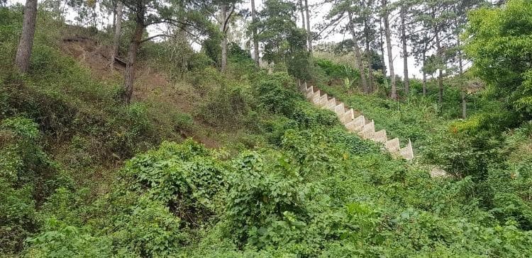 Terreno en venta en Venta en Monte Pinasco Fraijanes - foto 4